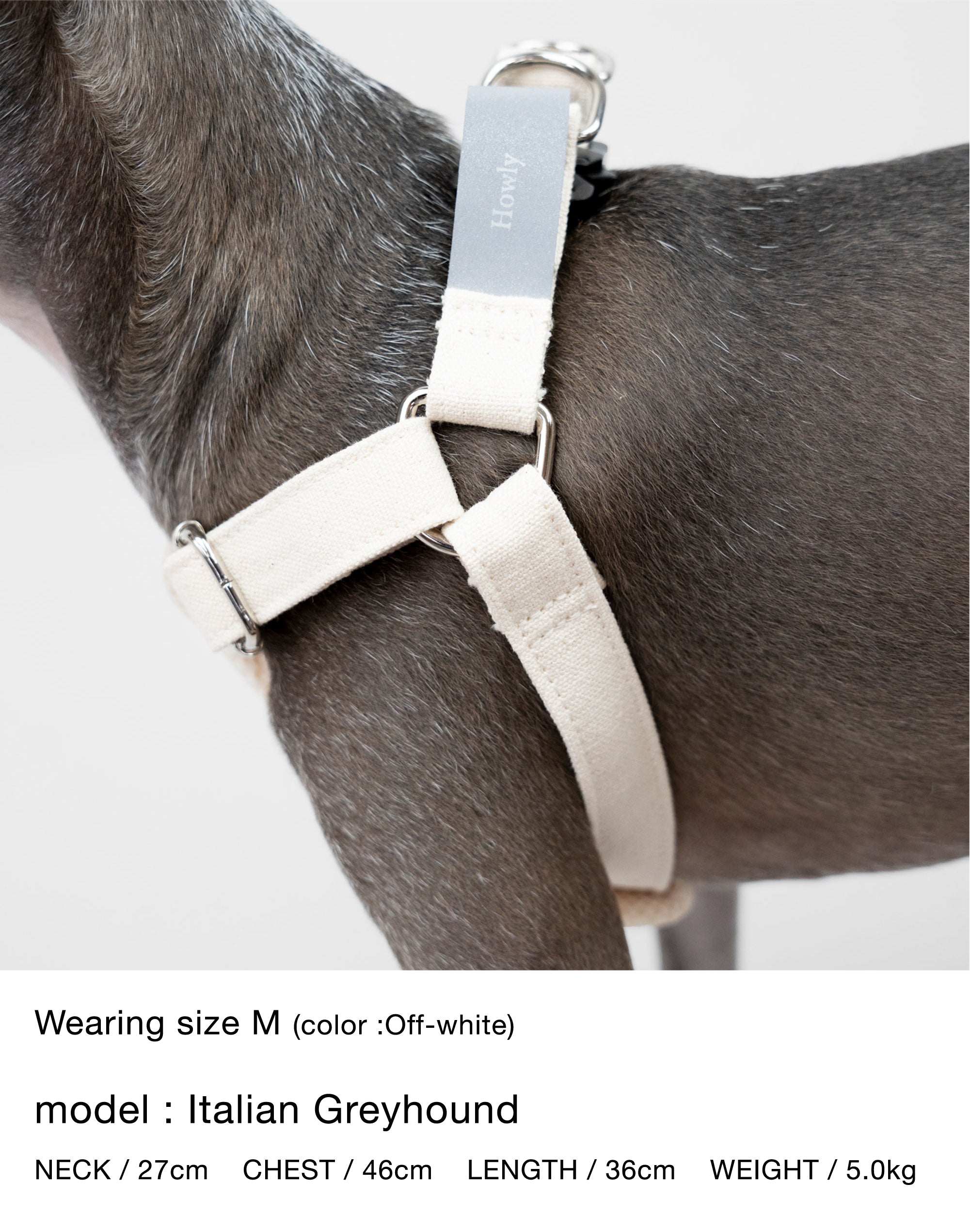 HOWLY UNIVERSAL HARNESS | Howly | シンプルで洗練されたドッグ