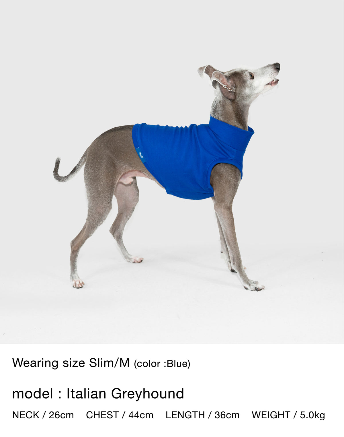 Megumi Yamazaki × DOG PACK T-SHIRTS 詳細画像 4