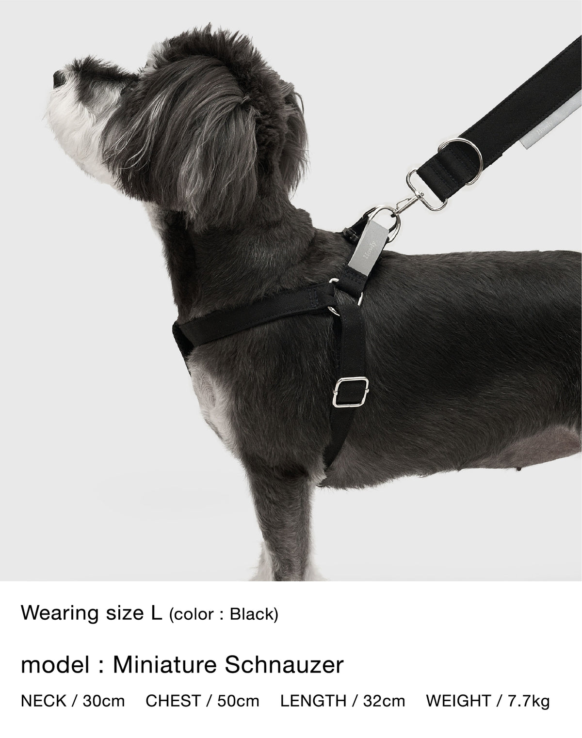 HOWLY UNIVERSAL HARNESS 詳細画像 3