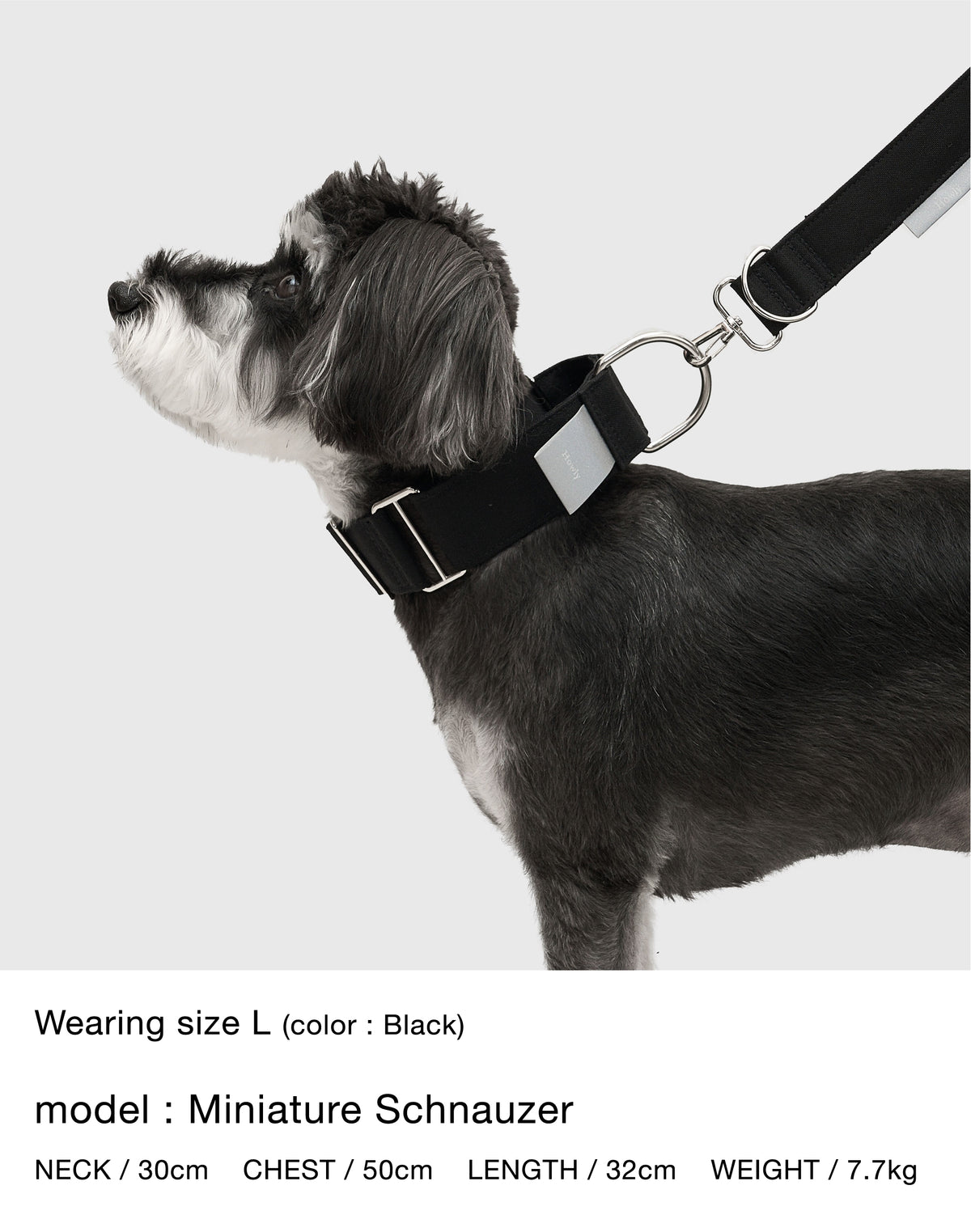 HOWLY UNIVERSAL COLLAR 詳細画像 2