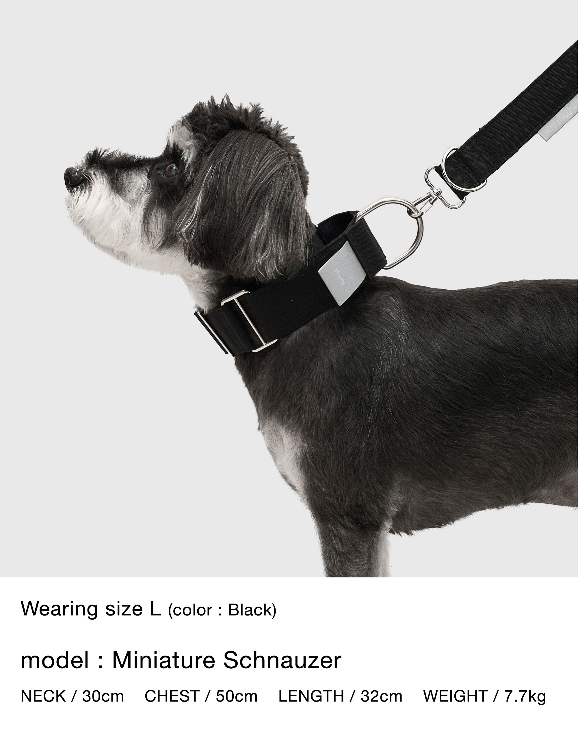 howly （ハウリー）リード＋首輪のセット HOWLY UNIVERSAL COLLAR｜Howly | ハーフチョーク犬用首輪 抜けにくい