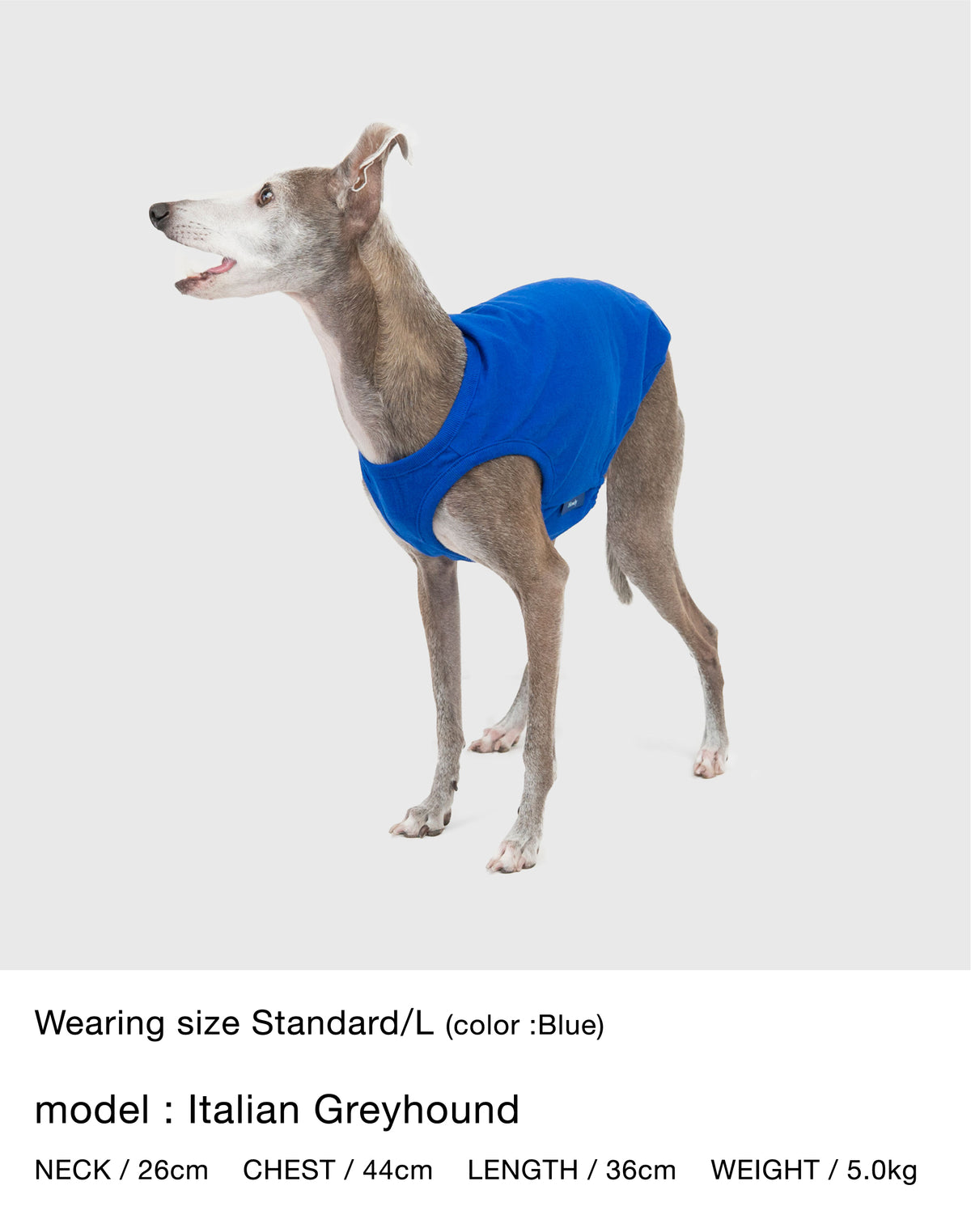 Megumi Yamazaki × DOG PACK T-SHIRTS 詳細画像 1