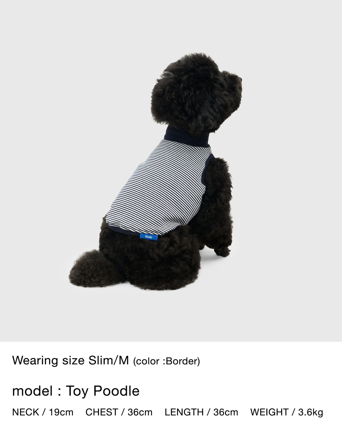 Megumi Yamazaki × DOG PACK T-SHIRTS 詳細画像 5