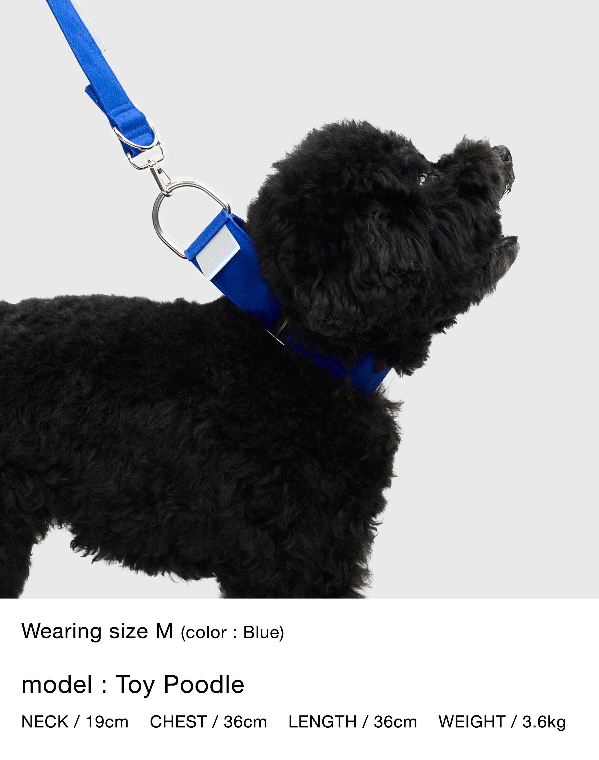 HOWLY UNIVERSAL COLLAR｜抜けにくい締まる設計4 cm幅帆布カラー
