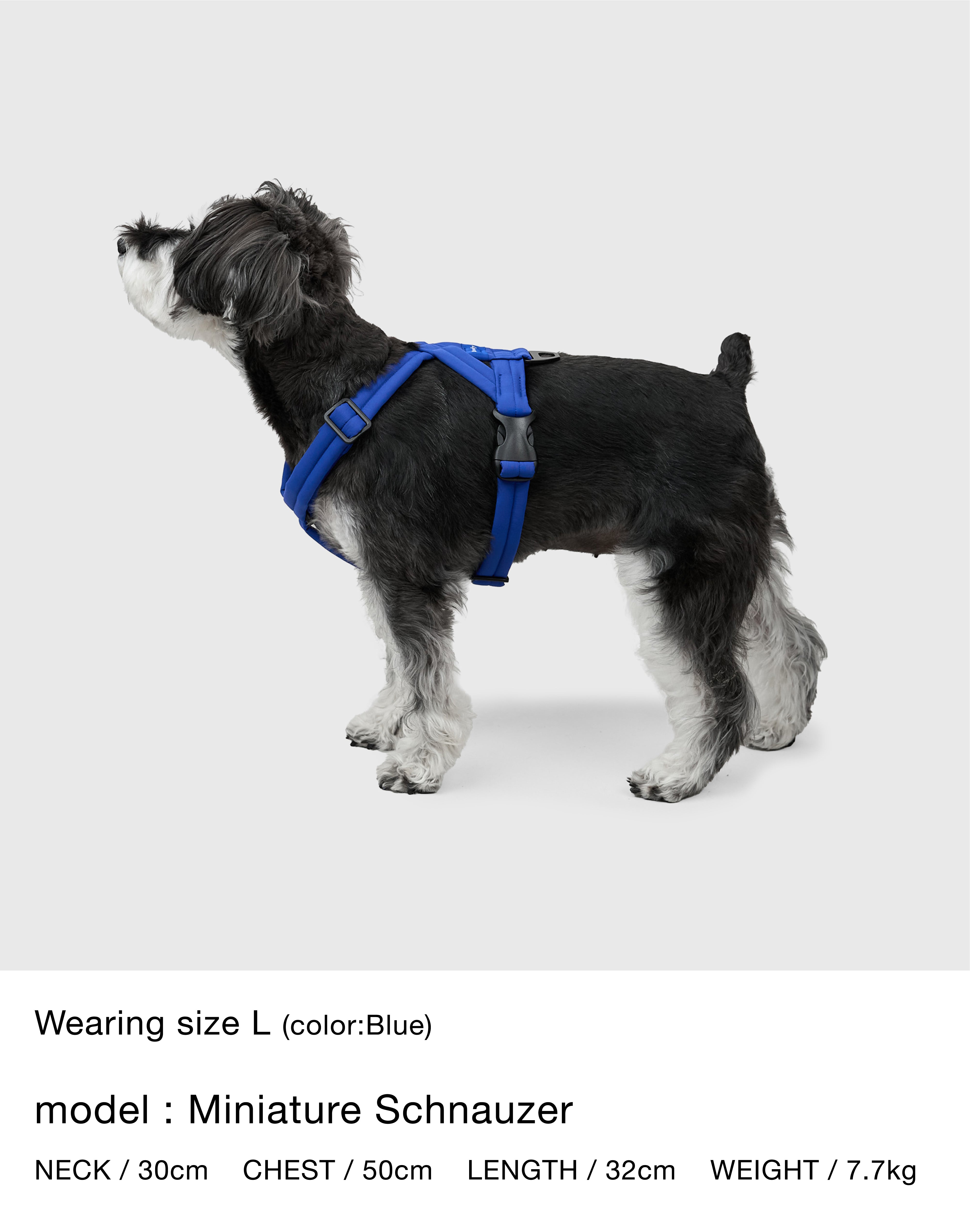 MALLOW-CORE™ HARNESS | Howly | 独自開発のテクノロジーとミニマムな