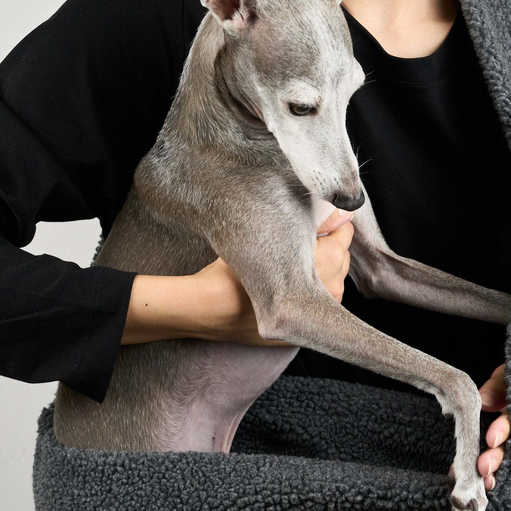 HOWLY PUFF SLING BAG 犬用ボアスリングバッグ