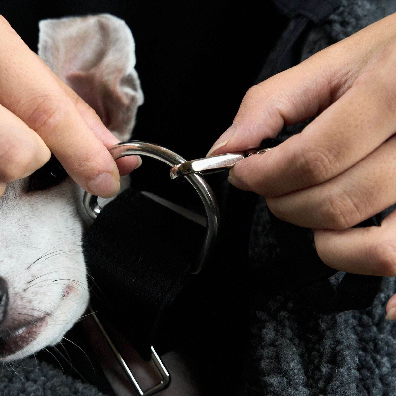 HOWLY PUFF SLING BAG 犬用ボアスリングバッグ