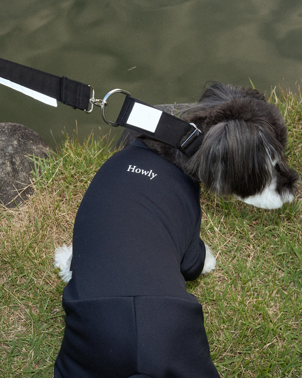 HOWLY UNIVERSAL COLLAR｜Howly | ハーフチョーク犬用首輪 抜けにくい締まる設計4 cm幅帆布カラー・反射タグ付き