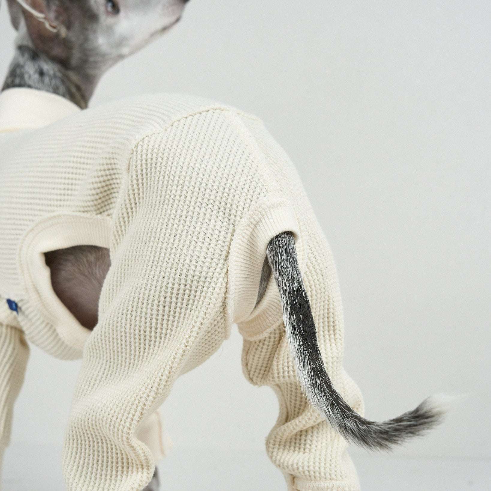 THERMAL HIGH-NECKED ROMPERS ドッグサーマル