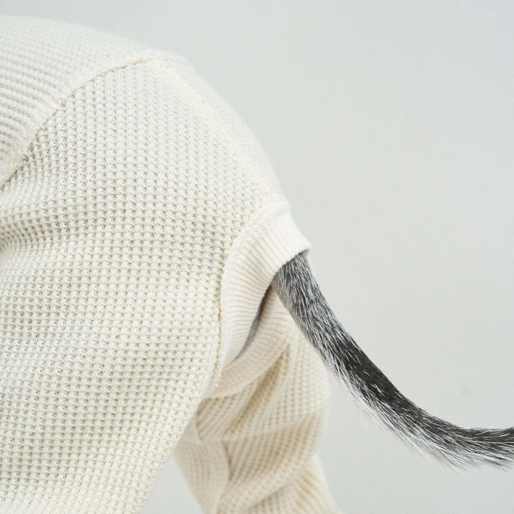 THERMAL HIGH-NECKED ROMPERS ドッグサーマル