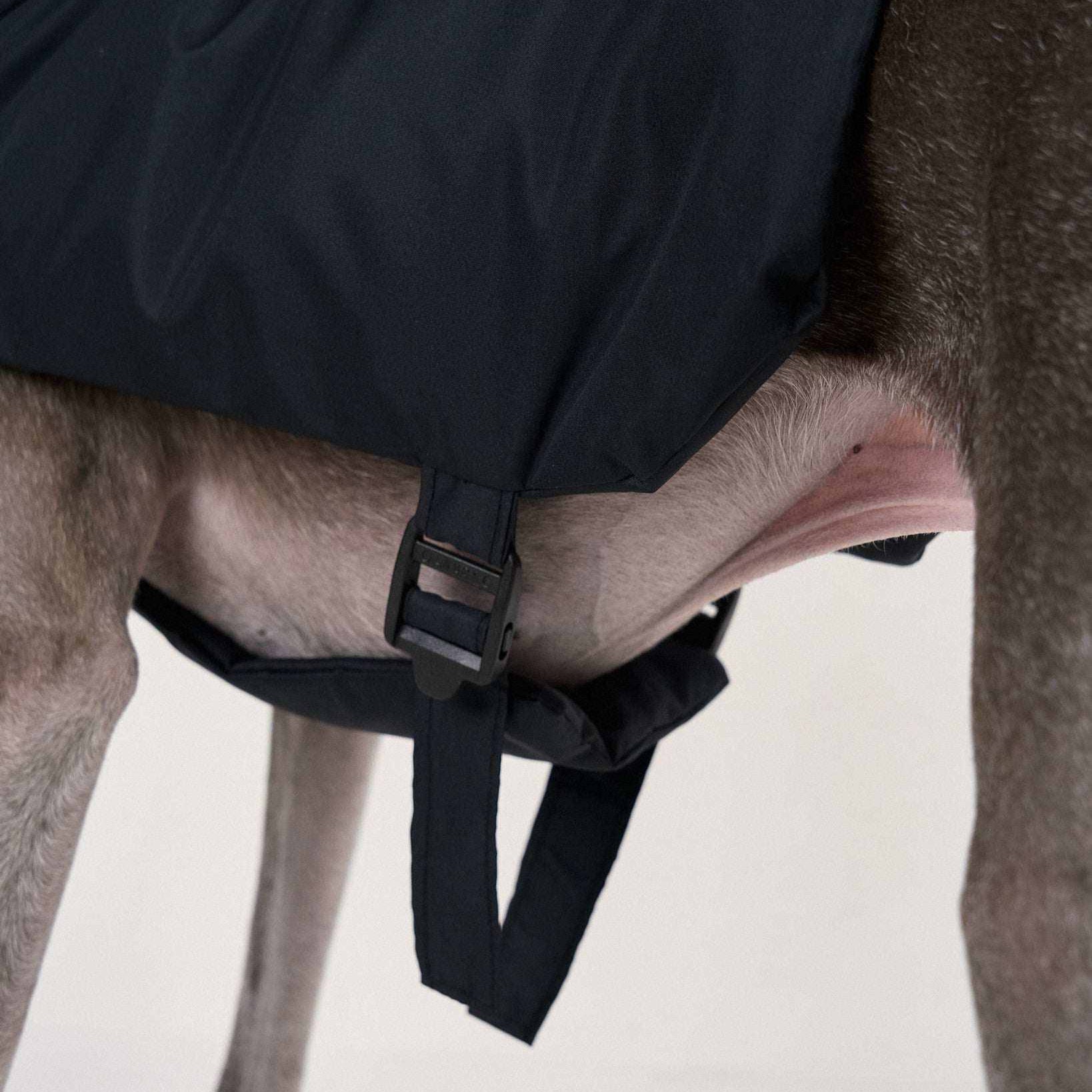 TACTICAL PUFF VEST 犬用ライトベスト