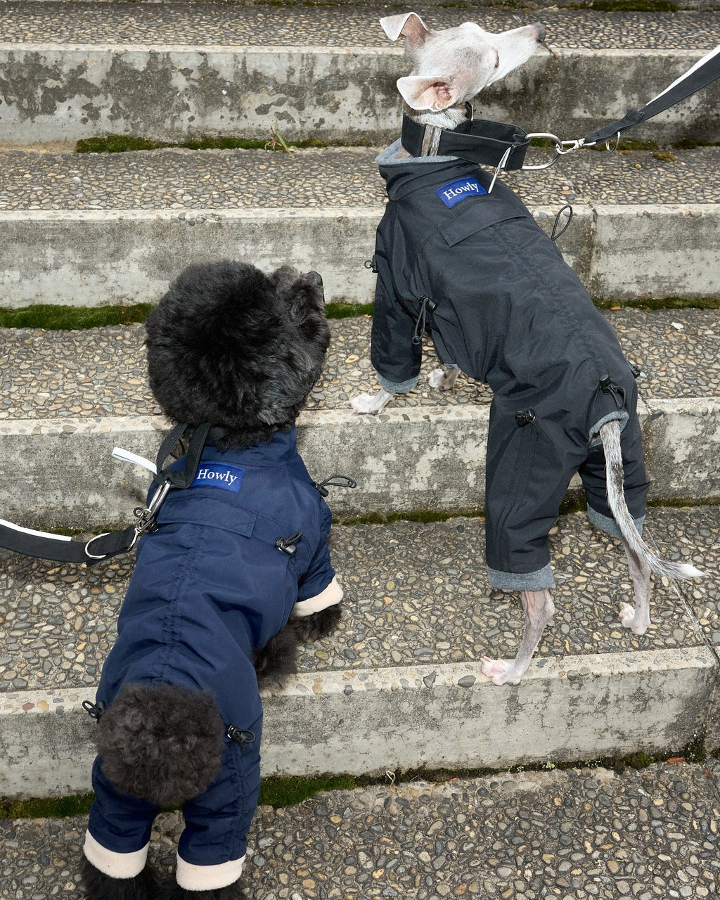 APOLLO SUITS 使用イメージ