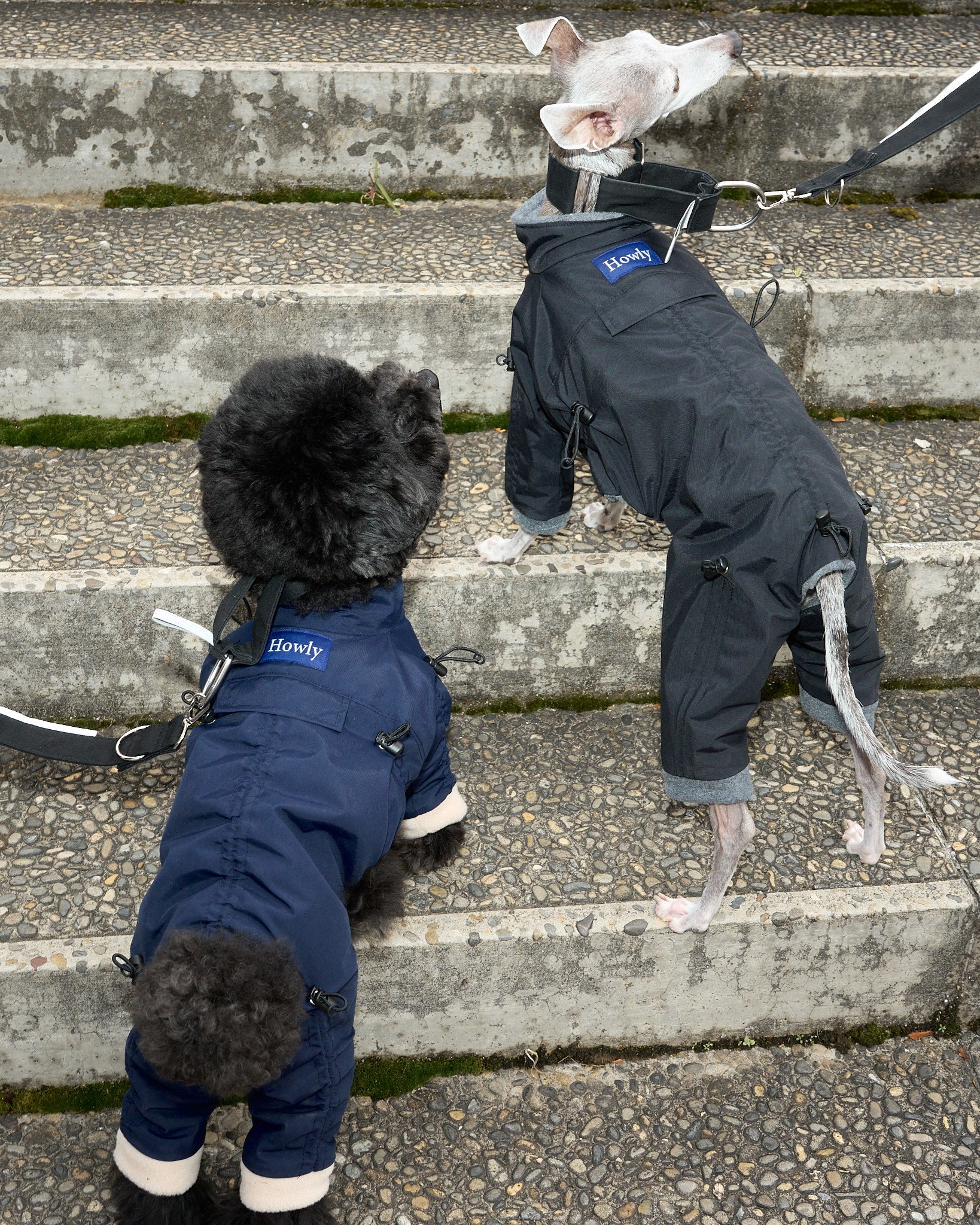 APOLLO SUITS 使用イメージ