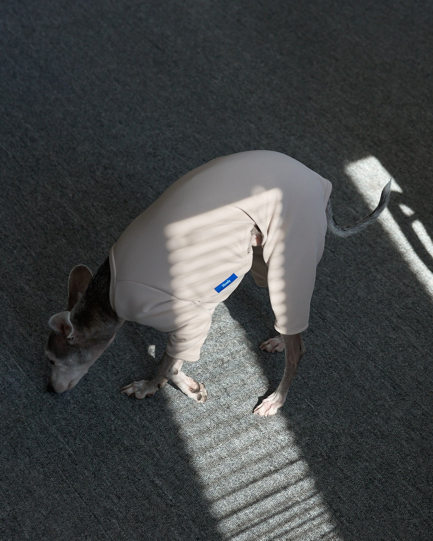 ECWCS LEVEL1 UNDERSHIRT 使用イメージ