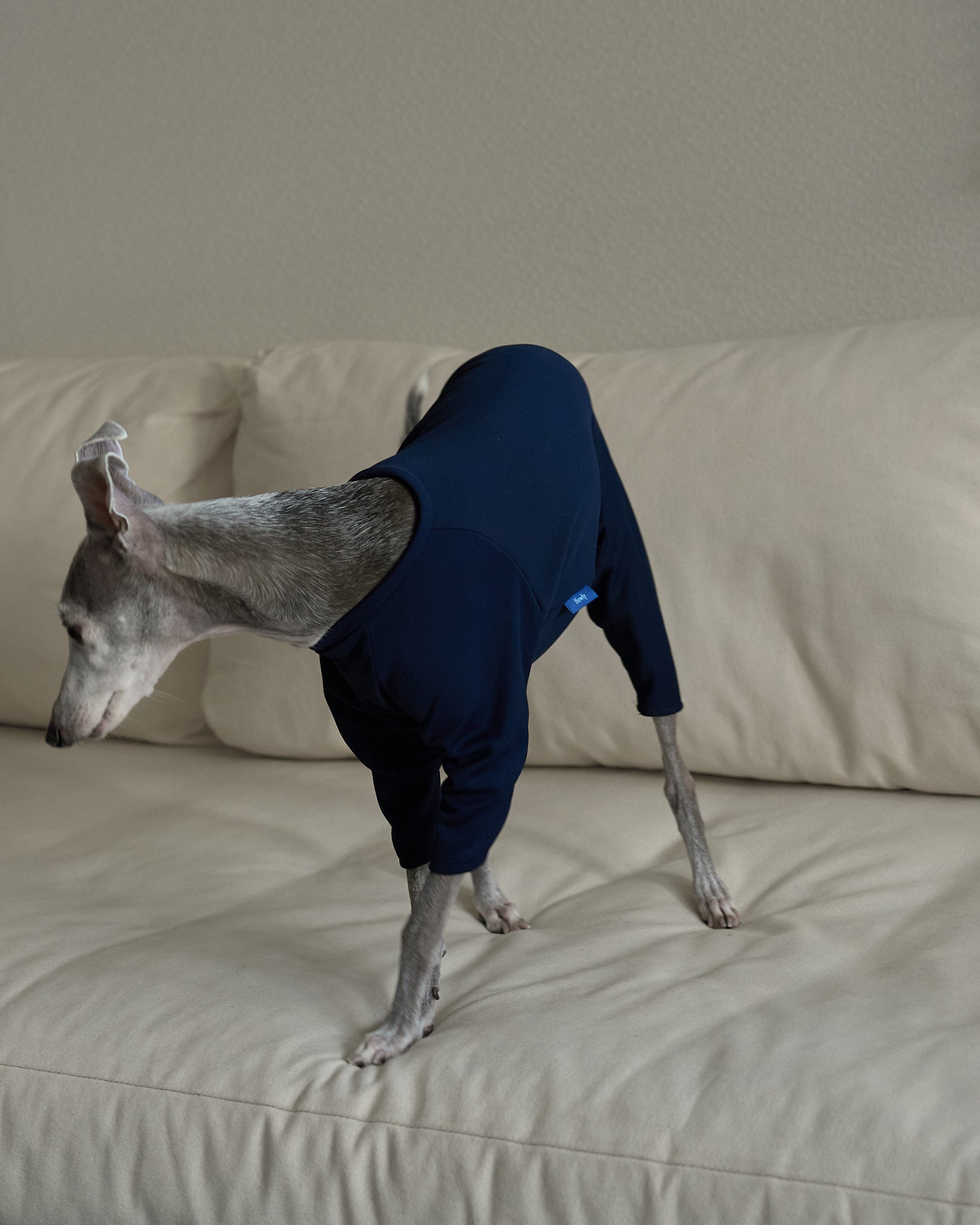 ECWCS LEVEL1 UNDERSHIRT 使用イメージ