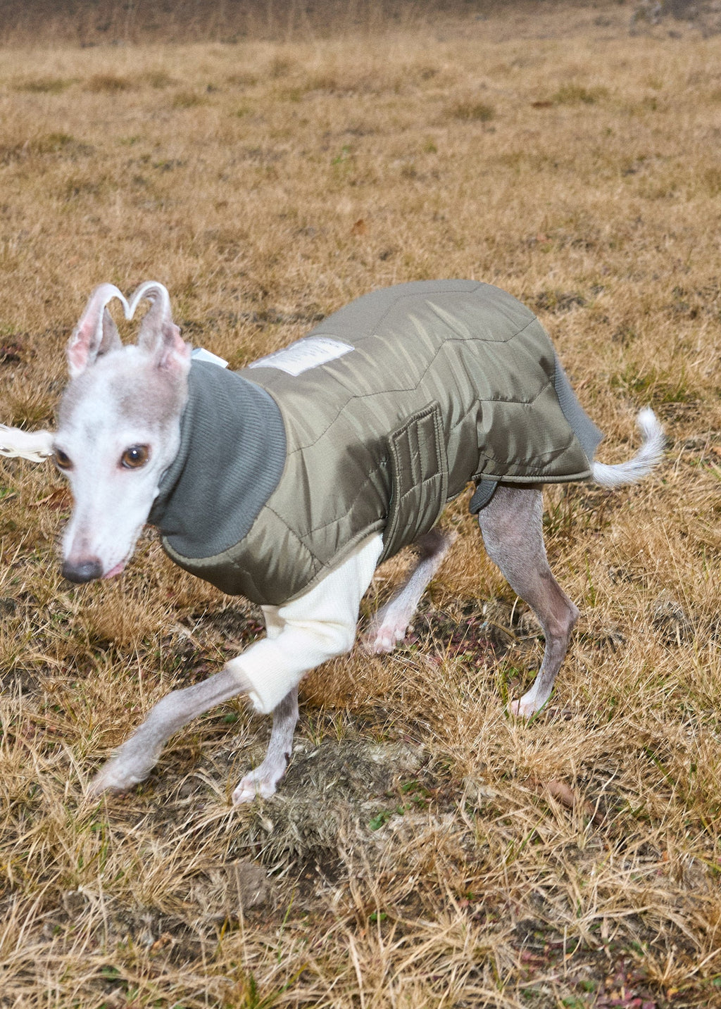 QUILTED LINER COAT 使用イメージ