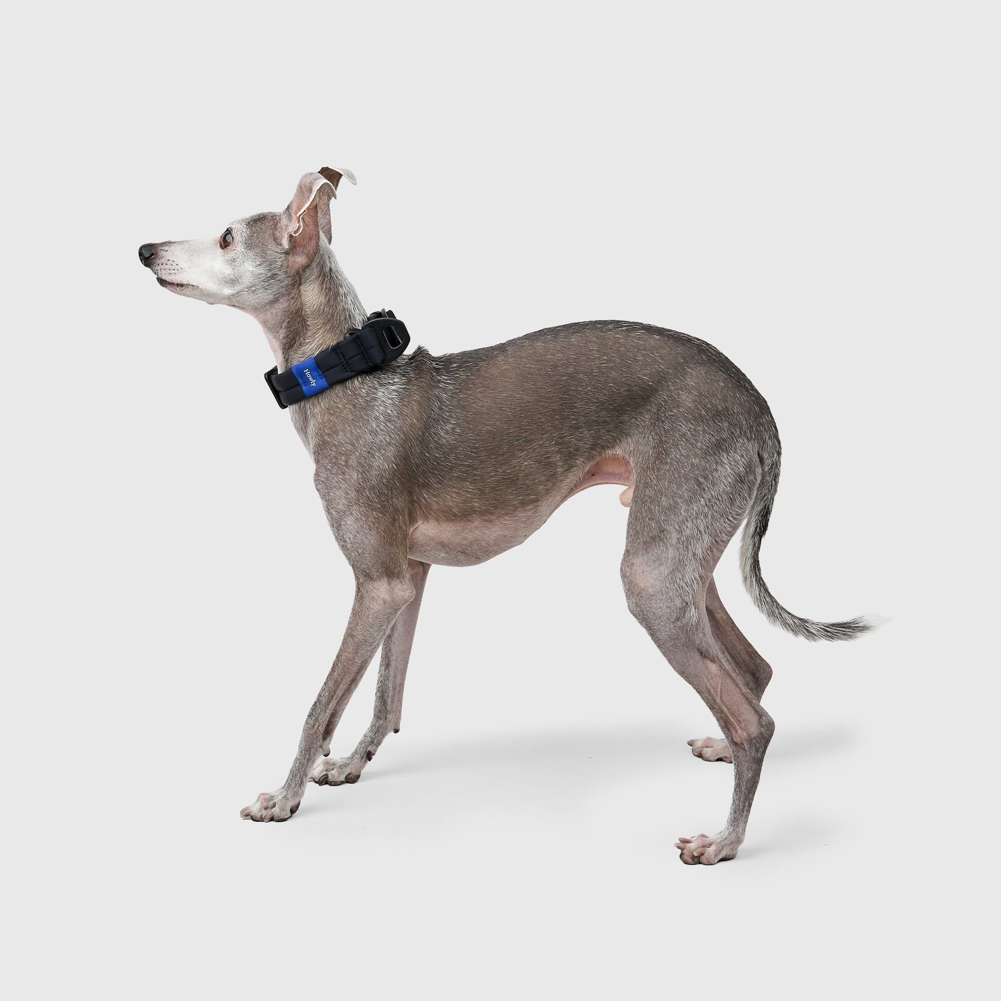 MALLOW-CORE™ COLLAR