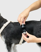 HOWLY UNIVERSAL HARNESS