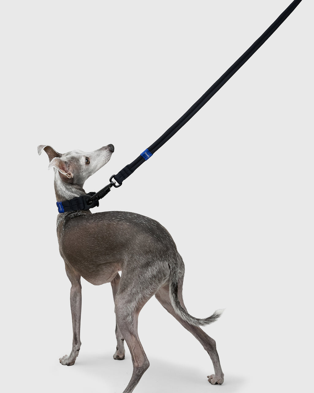 MALLOW-CORE™ COLLAR