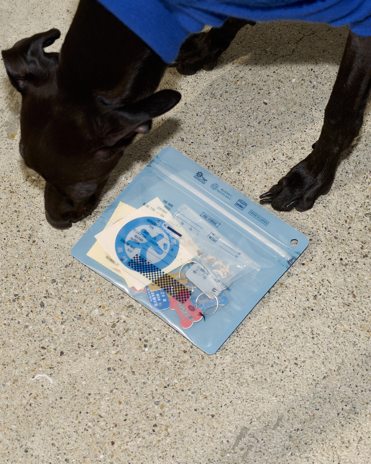 Pake® DOG STORAGE
