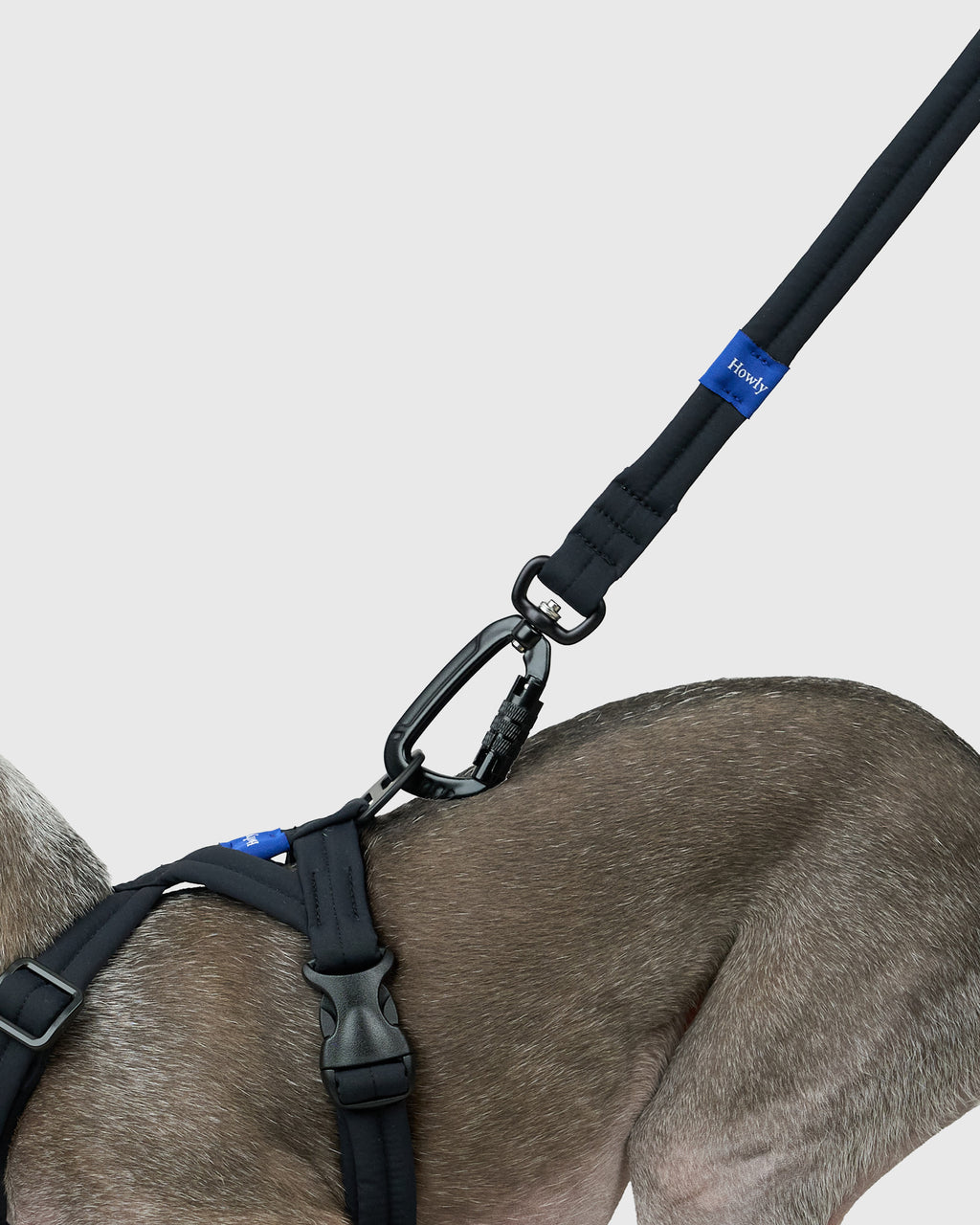 MALLOW-CORE™ HARNESS
