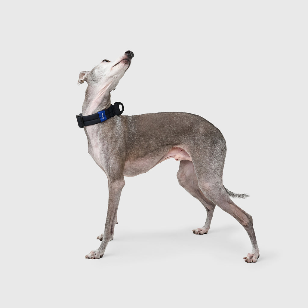 MALLOW-CORE™ COLLAR