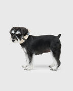 HOWLY UNIVERSAL COLLAR
