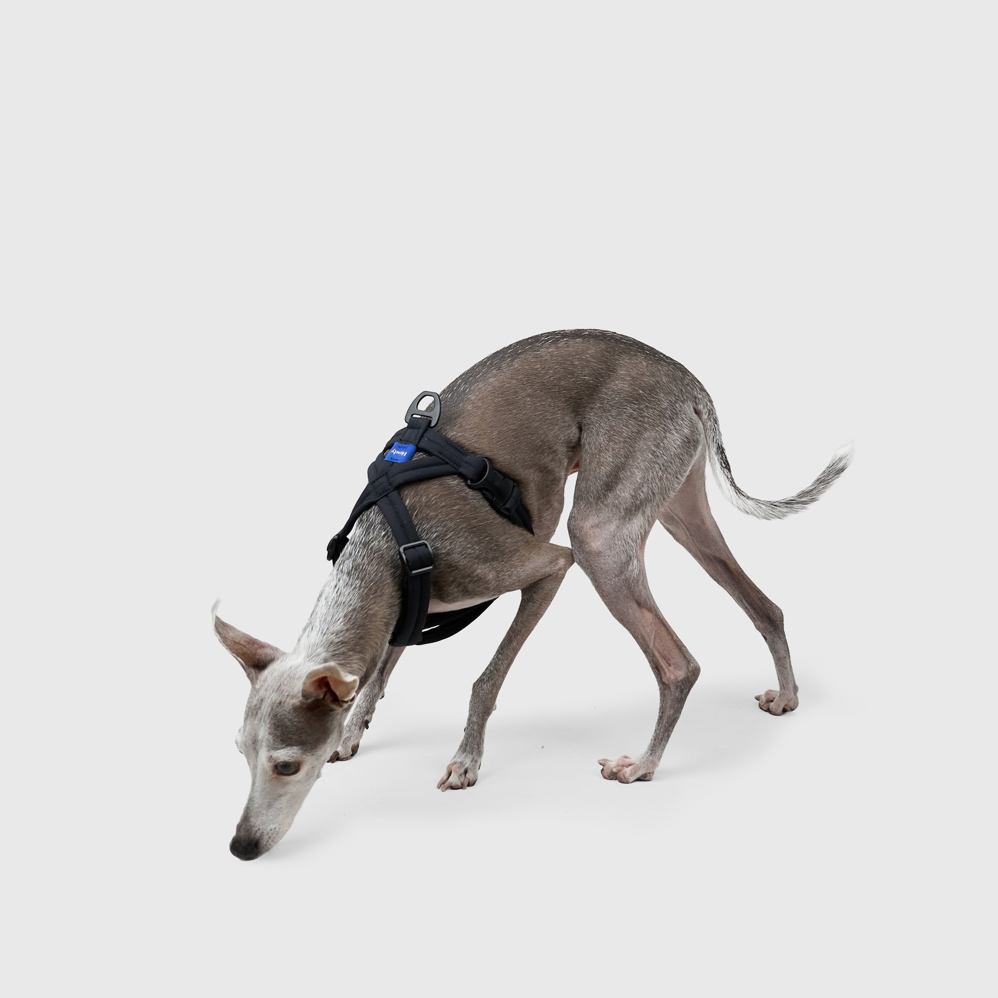 MALLOW-CORE™ HARNESS