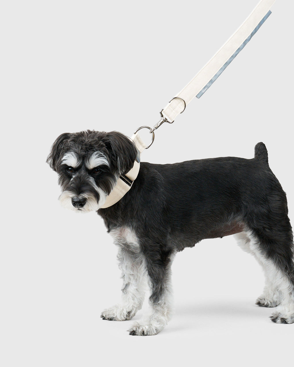 HOWLY UNIVERSAL LEASH