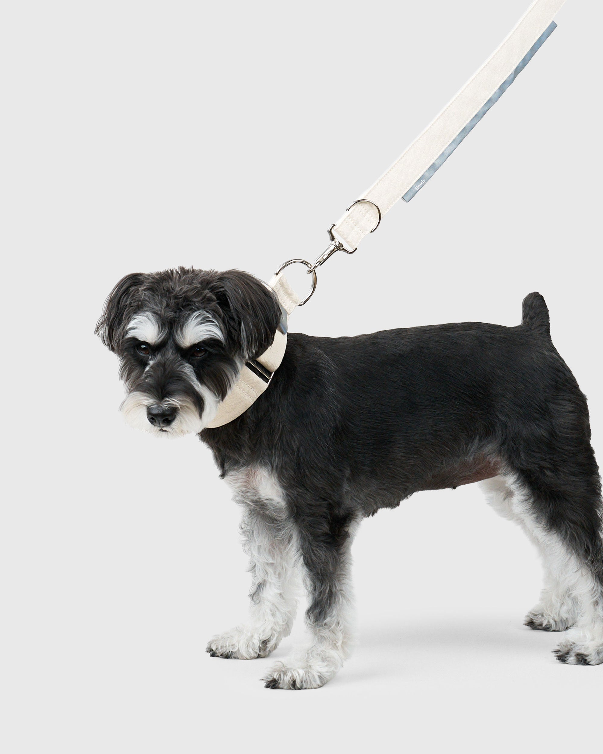 HOWLY UNIVERSAL LEASH