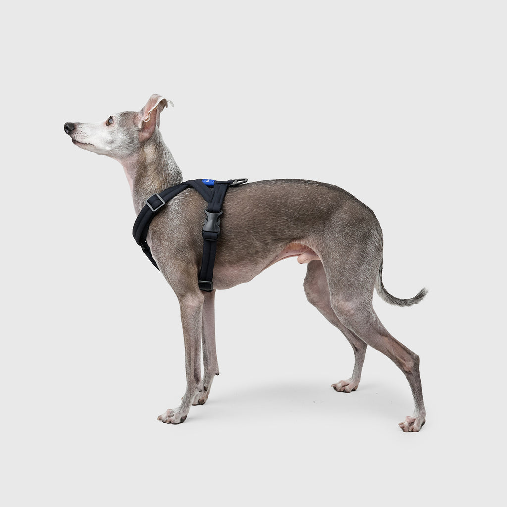 MALLOW-CORE™ HARNESS