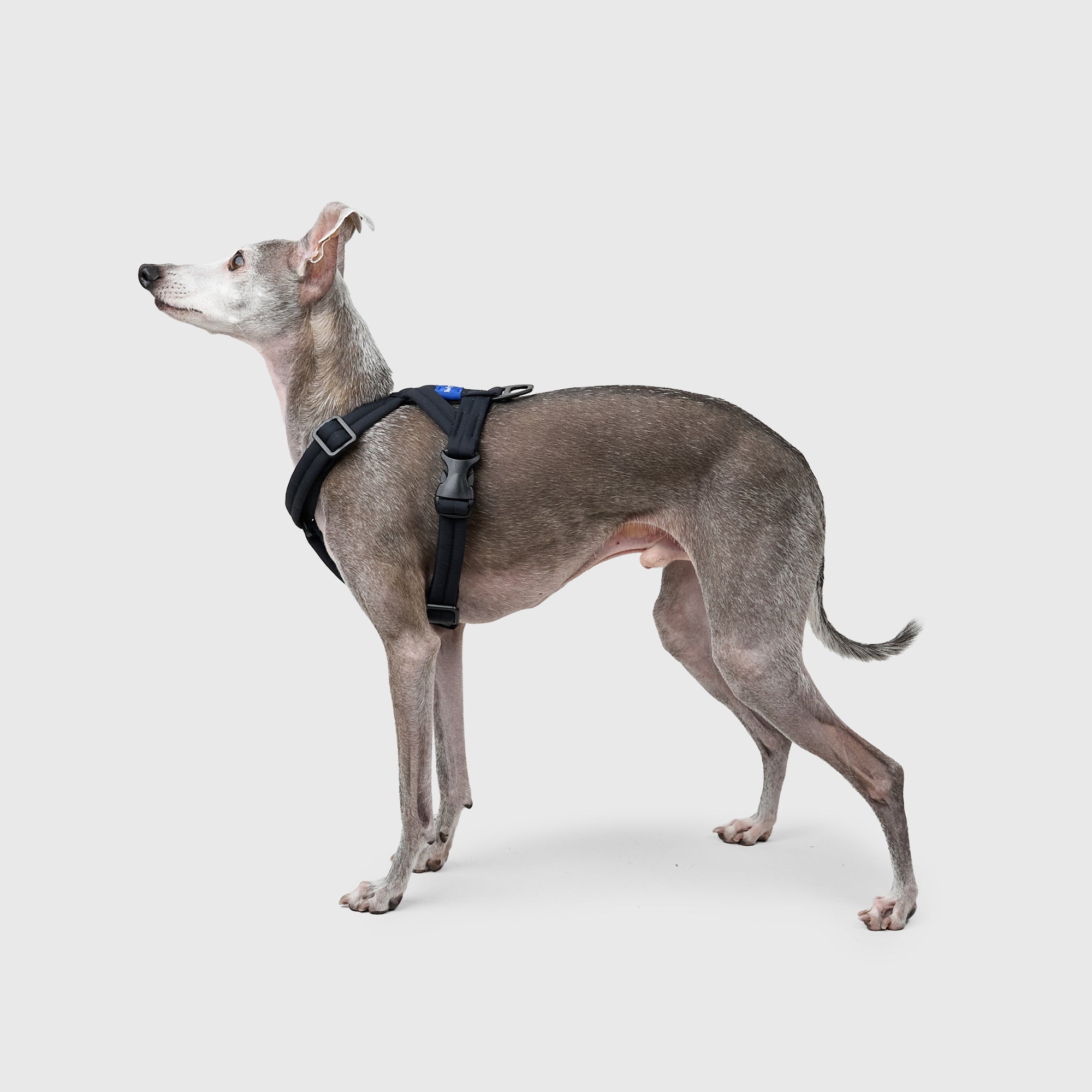 MALLOW-CORE™ HARNESS