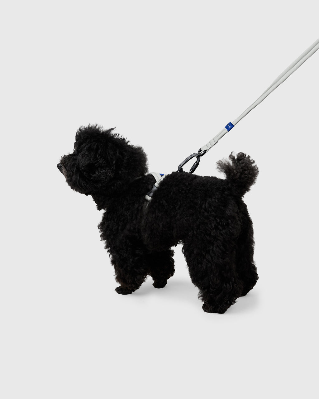 MALLOW-CORE™ LEASH