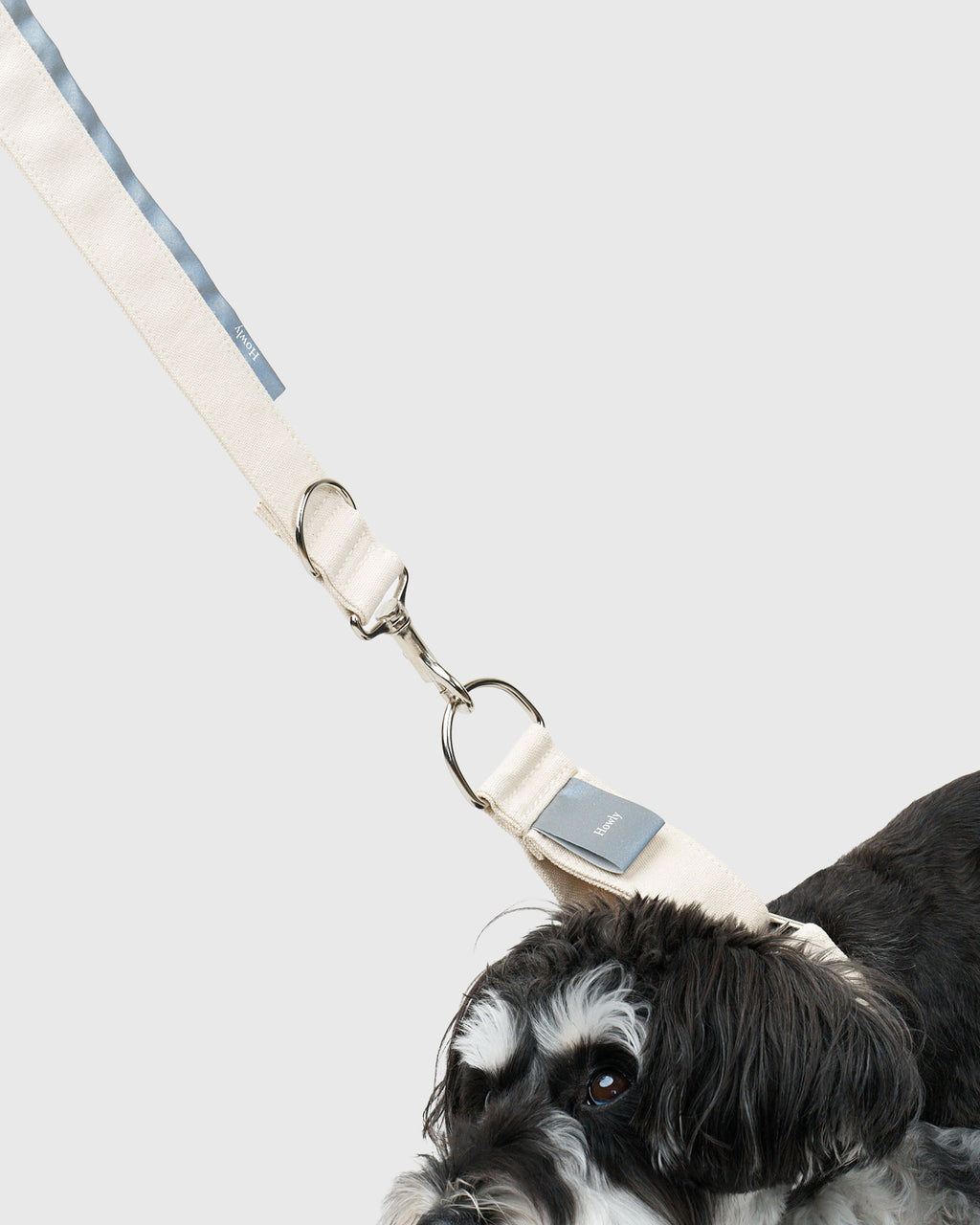 HOWLY UNIVERSAL LEASH