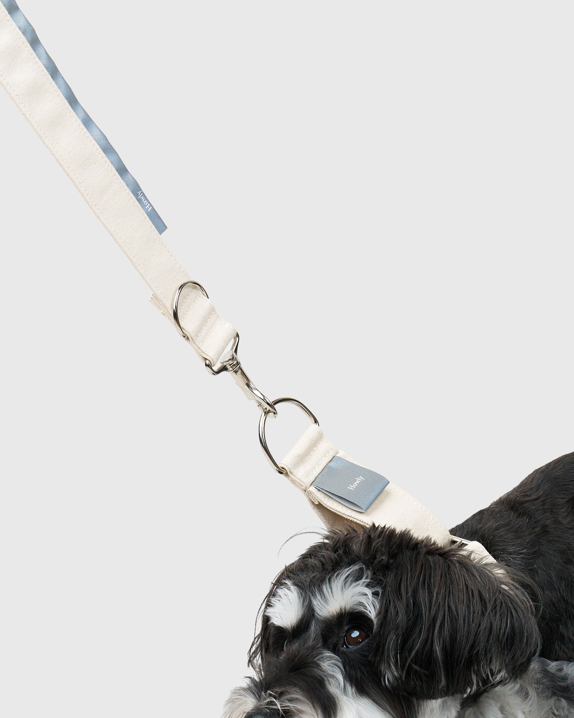 HOWLY UNIVERSAL LEASH