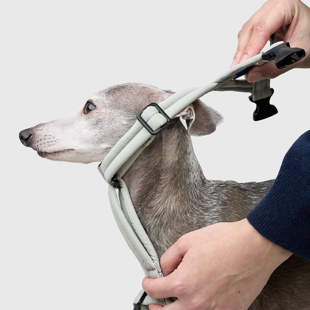 MALLOW-CORE™ HARNESS