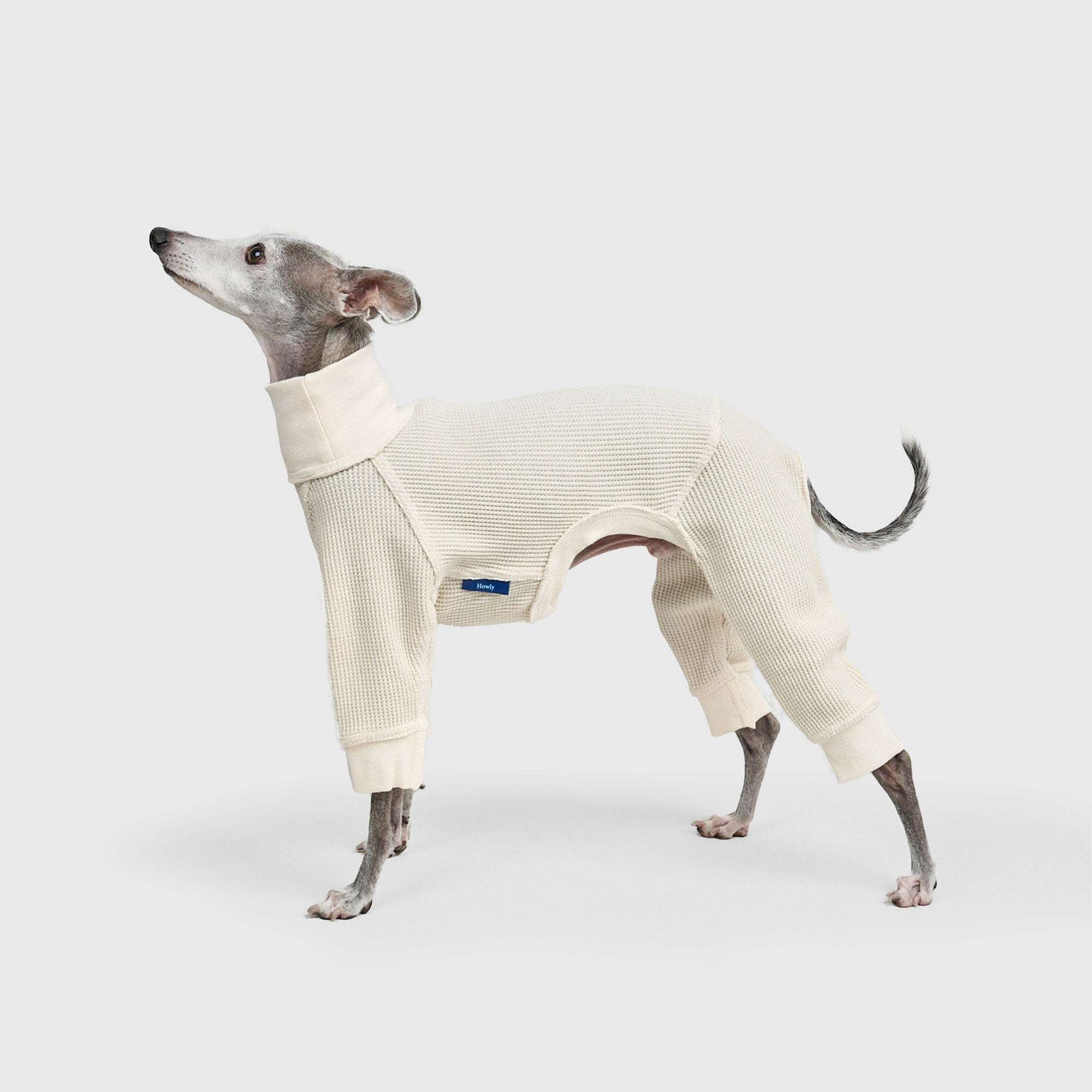 THERMAL HIGH-NECKED ROMPERS ドッグサーマル