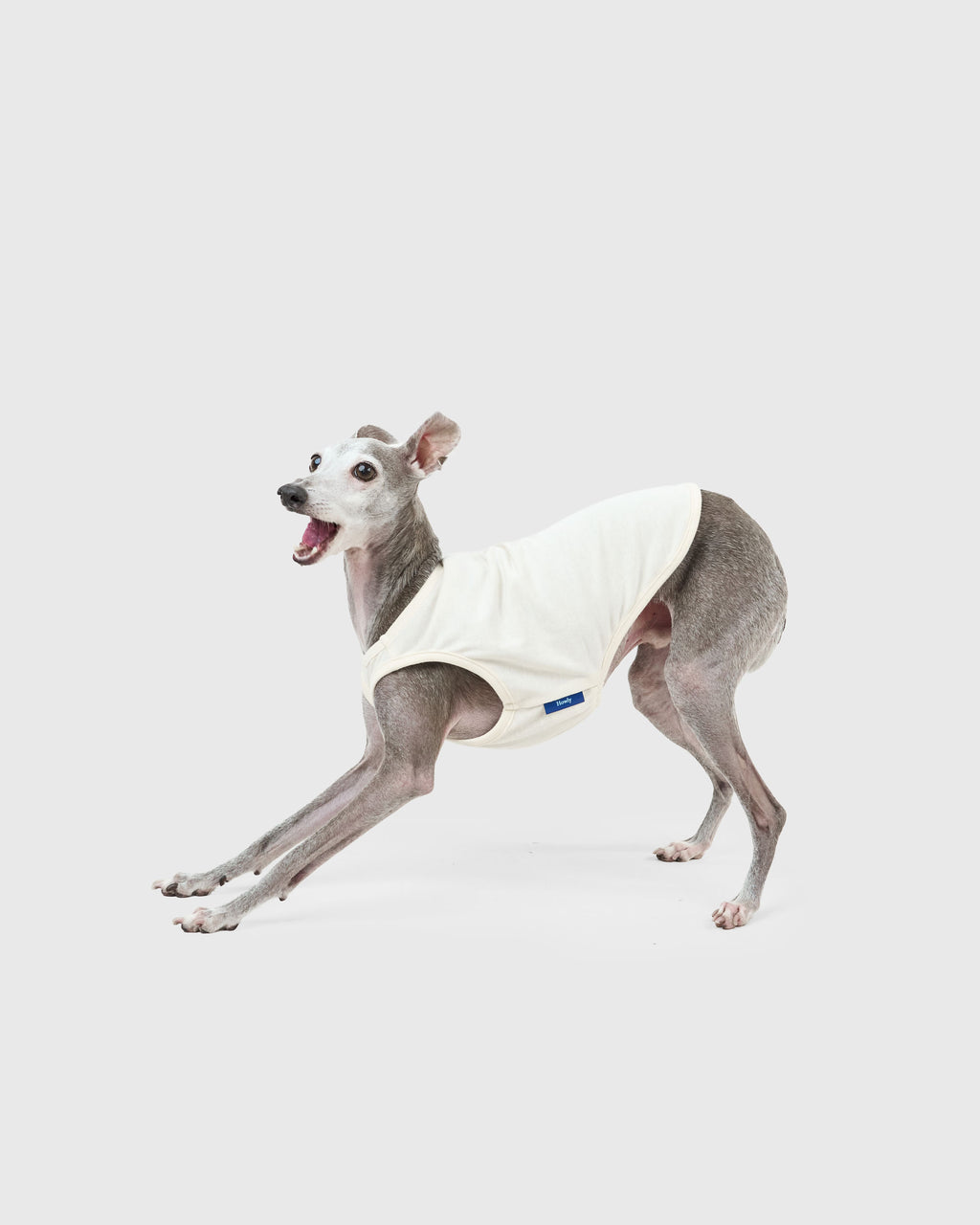 DOG PACK T-SHIRTS sleeveless (Green)