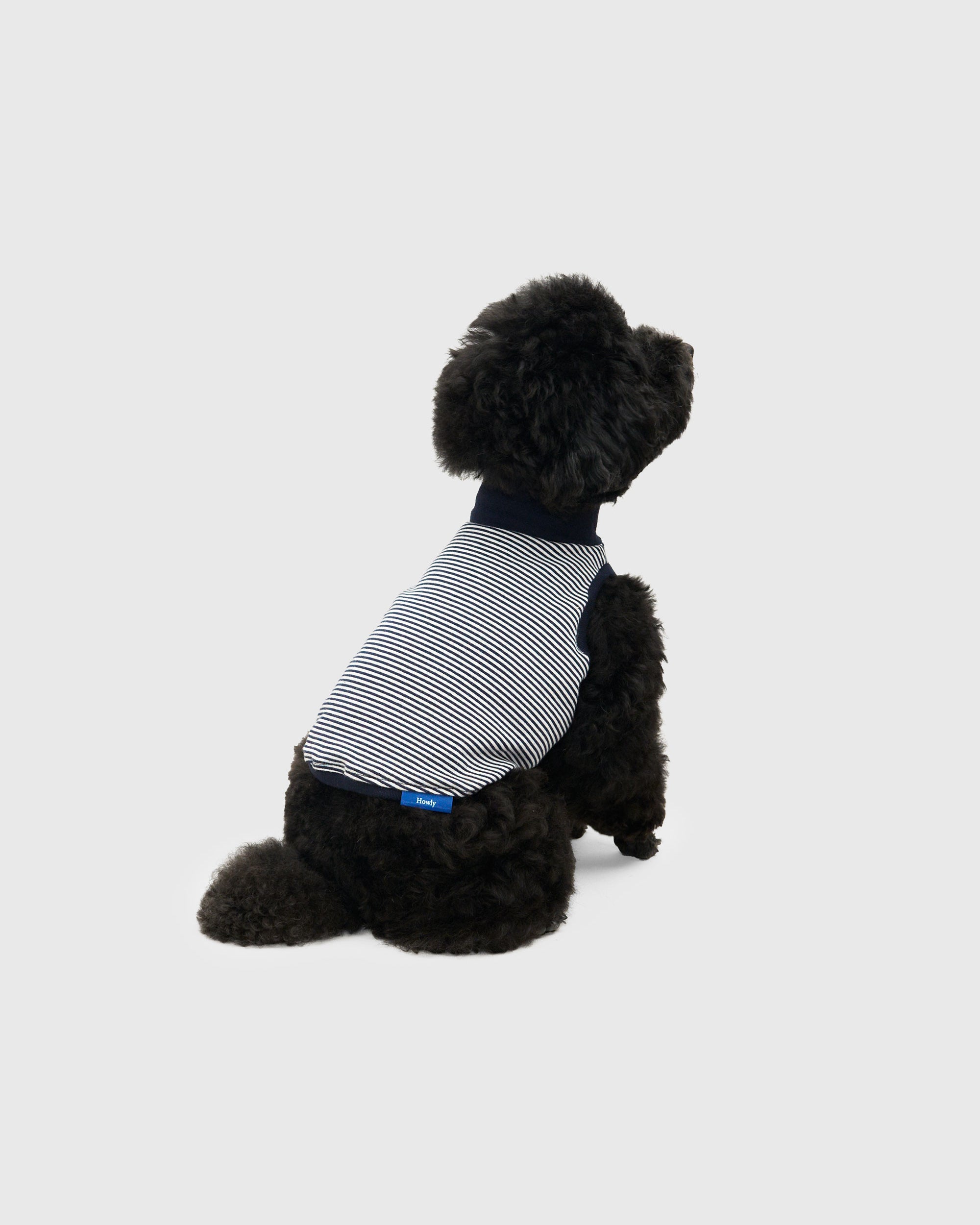 DOG PACK T-SHIRTS sleeveless (Border)