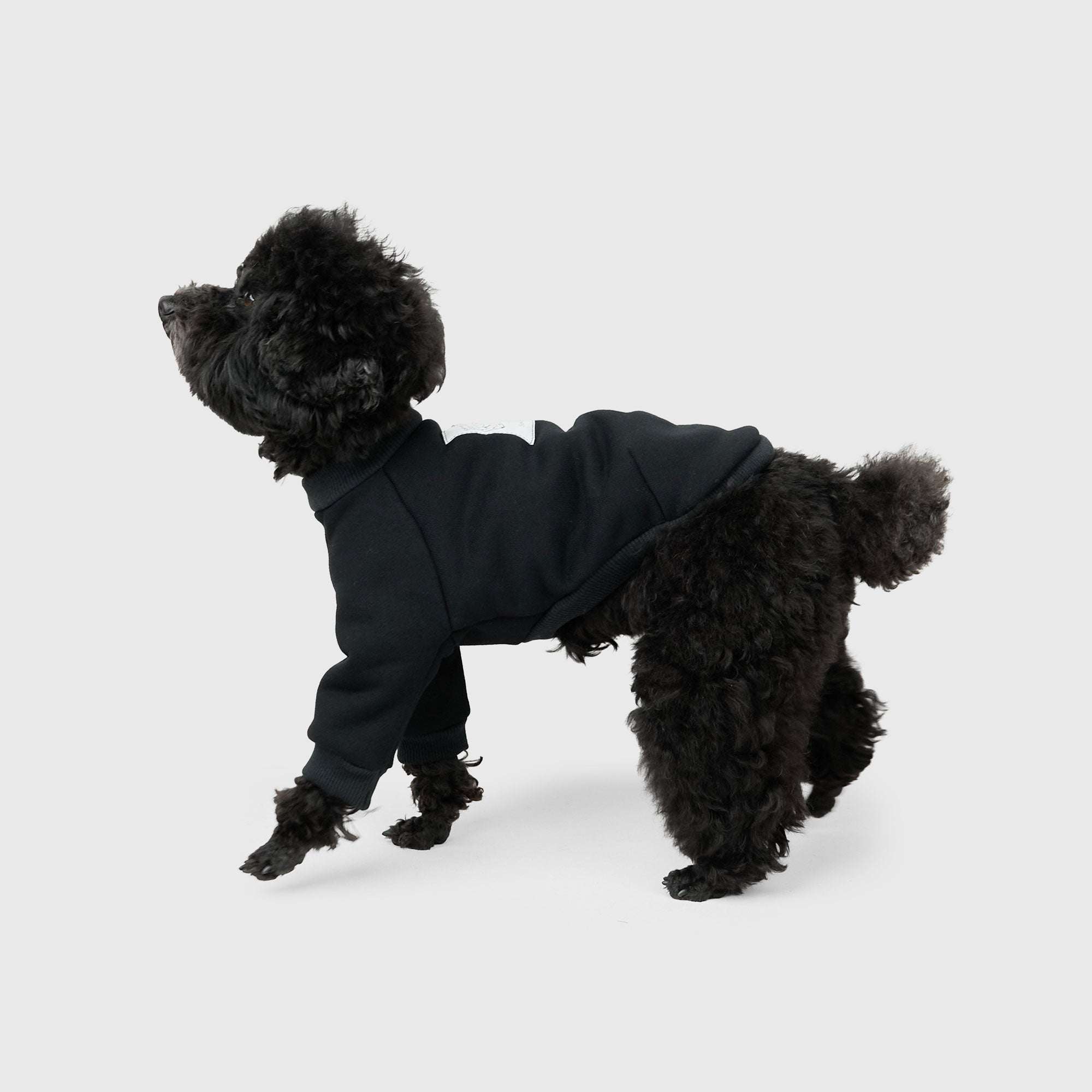 HOWLY "Sleepy dog" SWEAT SHIRT for DOG