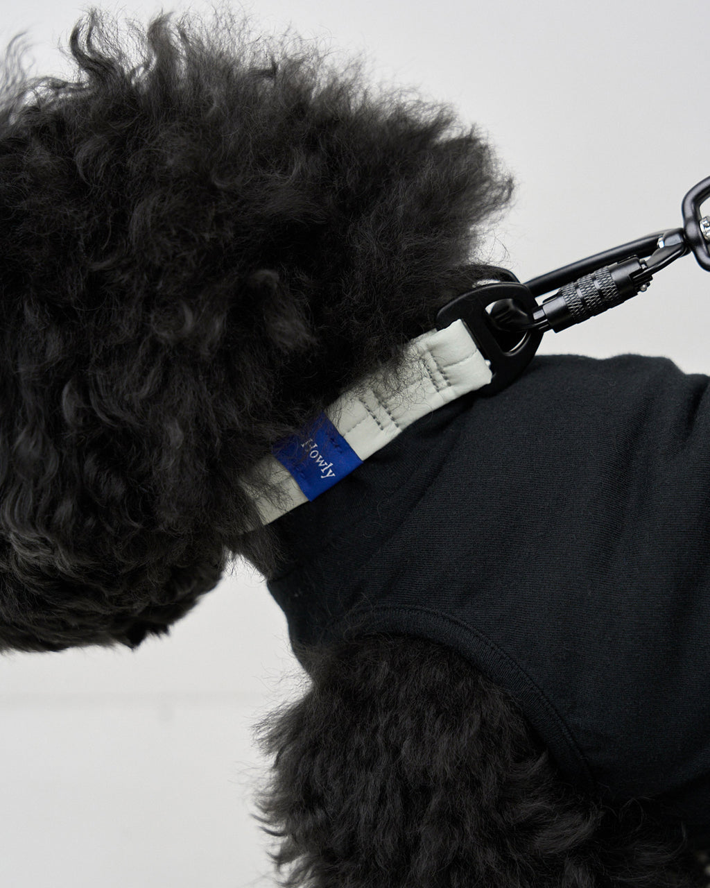 MALLOW-CORE™ COLLAR