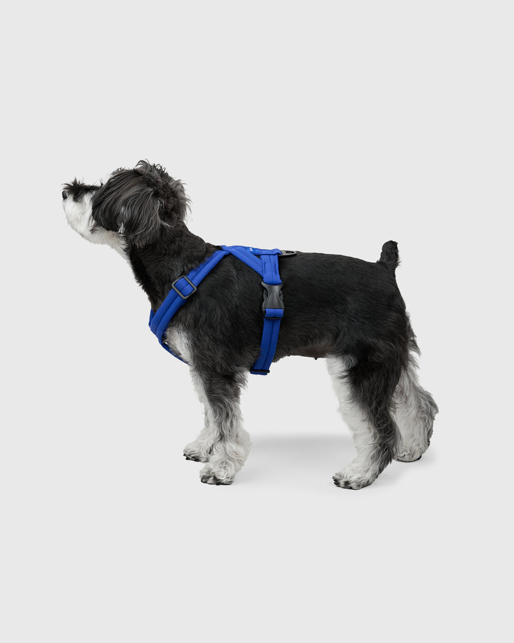 MALLOW-CORE™ HARNESS