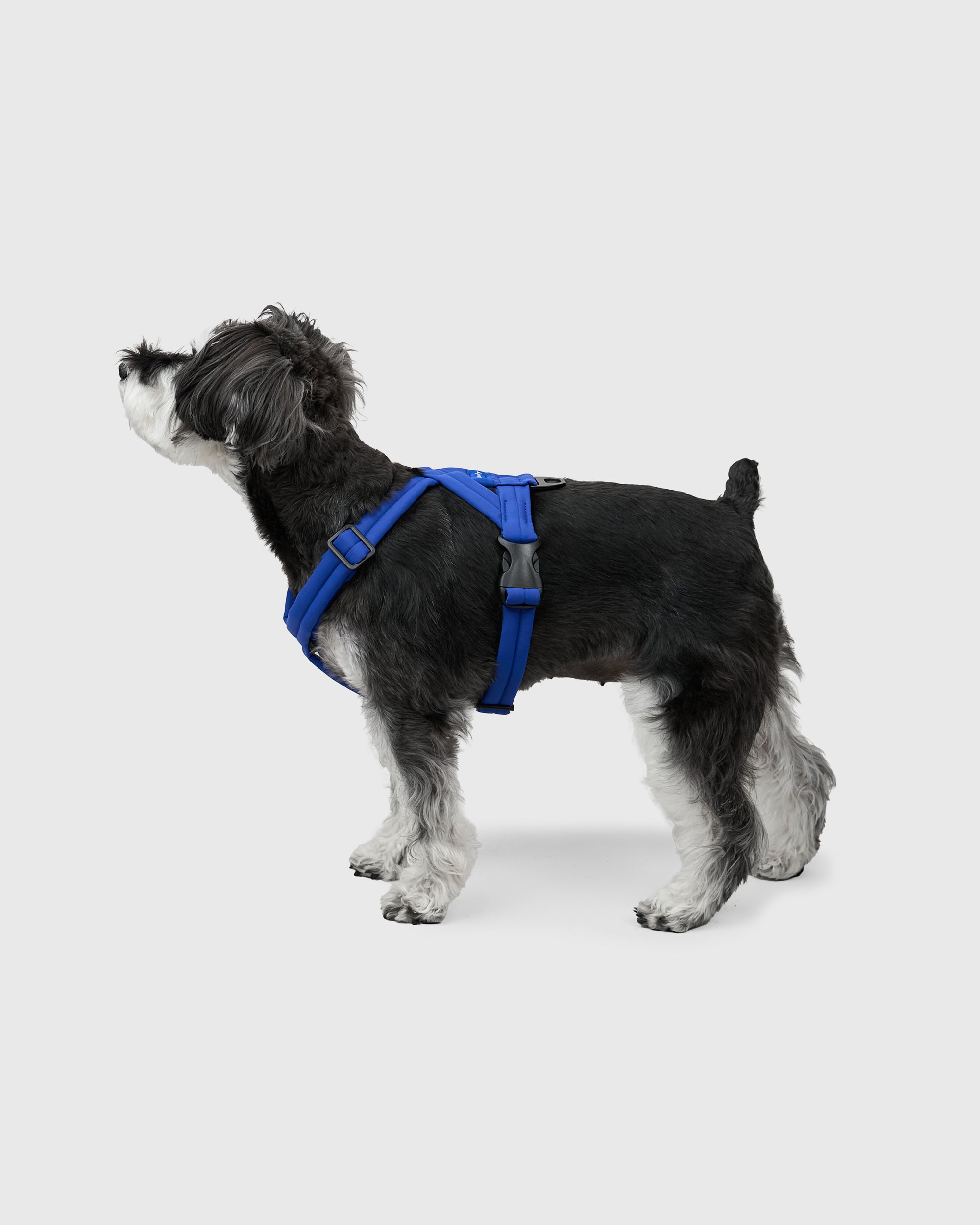 MALLOW-CORE™ HARNESS