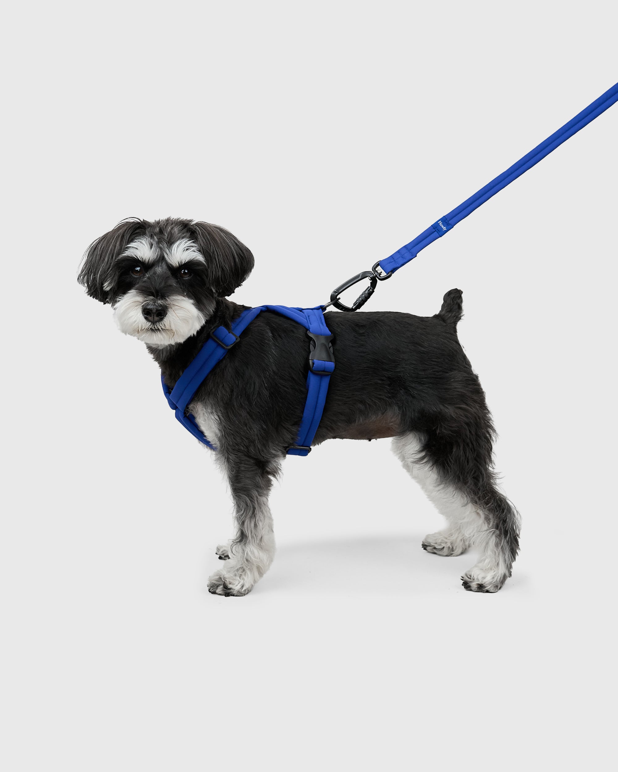 MALLOW-CORE™ HARNESS | Howly | 独自開発のテクノロジーとミニマムな