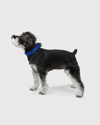 MALLOW-CORE™ COLLAR