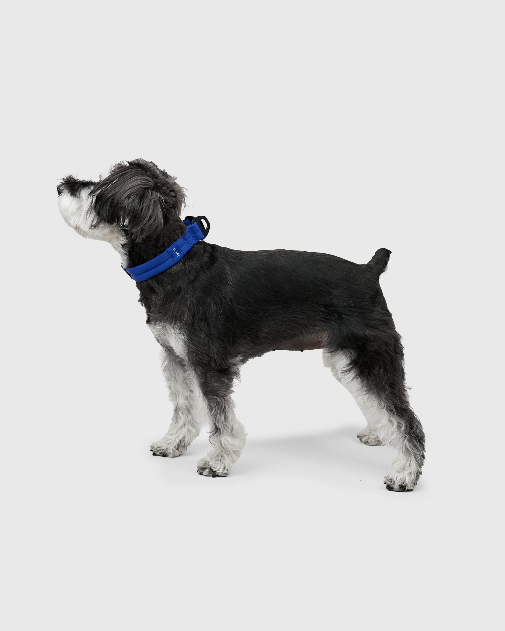 MALLOW-CORE™ COLLAR
