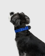 MALLOW-CORE™ COLLAR