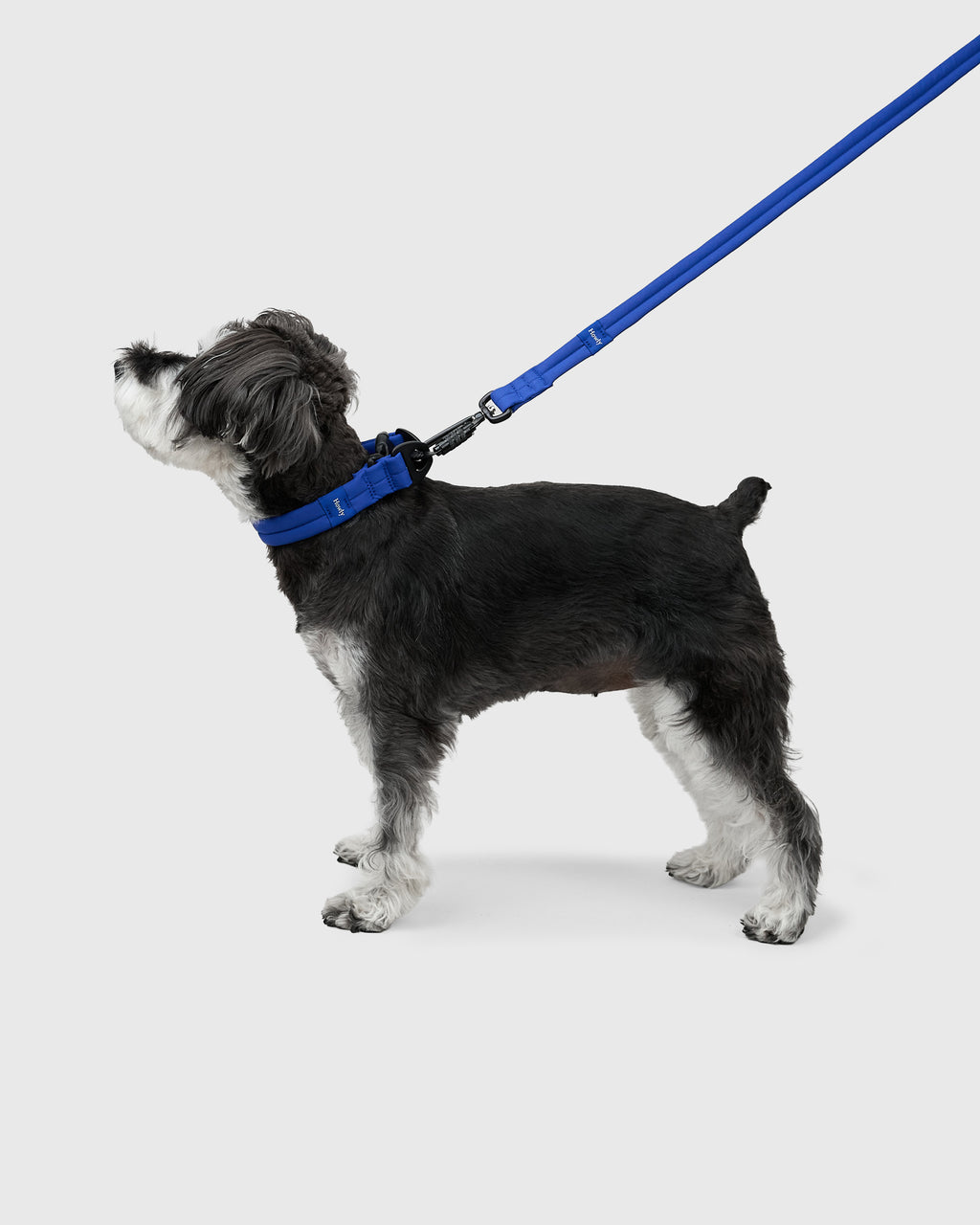 MALLOW-CORE™ LEASH
