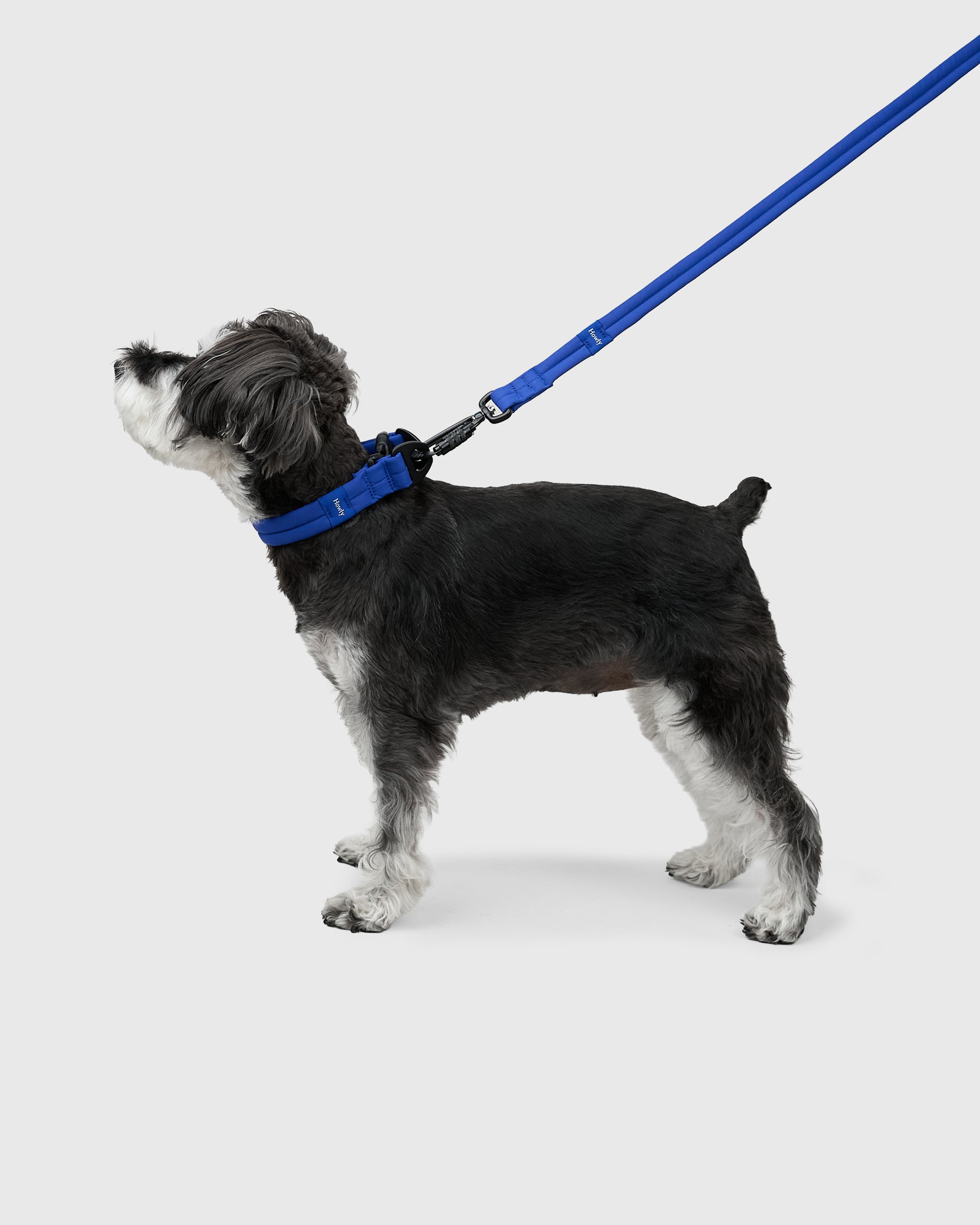 MALLOW-CORE™ LEASH