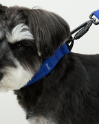 MALLOW-CORE™ COLLAR